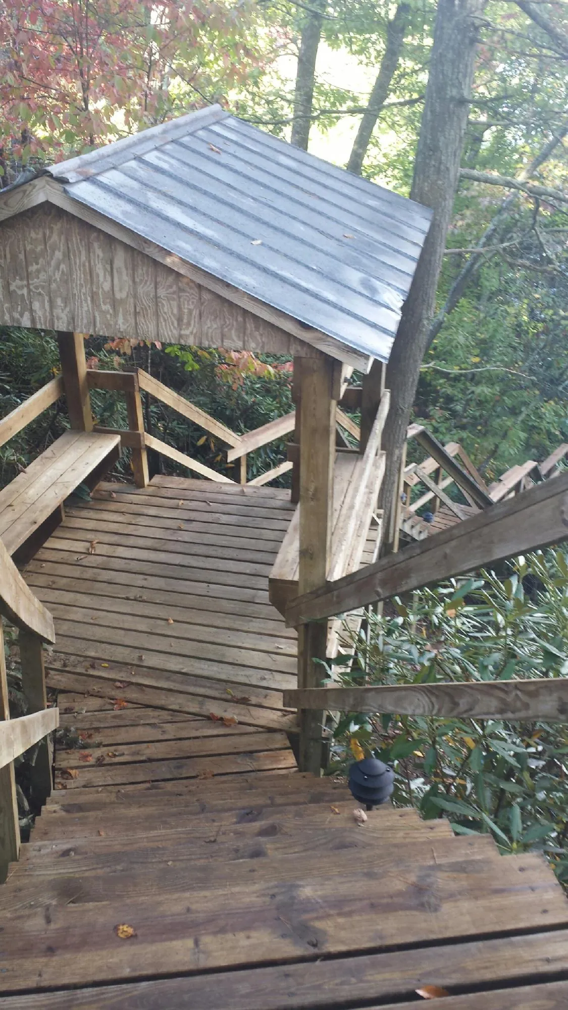 Metal roofed shelter over wooden steps on a wooded walkway — Skylight Repair & Installation work by our crew in Skamokawa